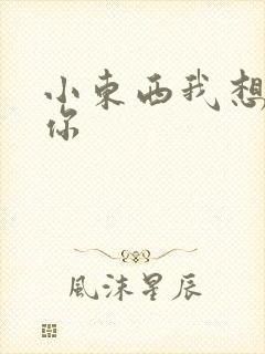 小东西我想弄坏你