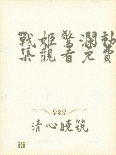 战姬惊澜动漫全集观看免费高清