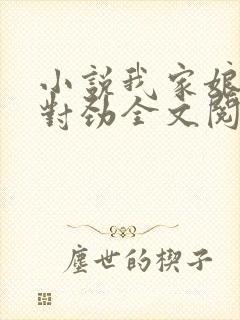 小说我家娘子不对劲全文阅读免费