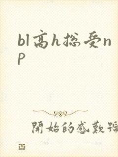 bl高h总受np
