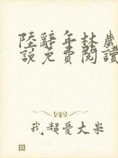 陆辞年林岁安小说免费阅读最新章节