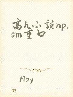 高h小说np,sm重口封面