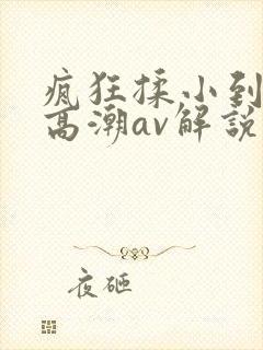 疯狂揉小到失禁高潮av解说