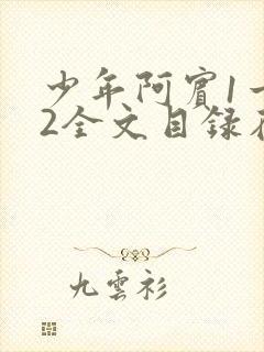 少年阿宾1一72全文目录在线