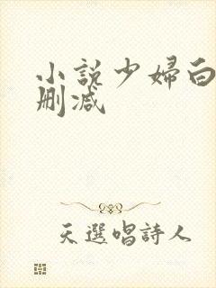 小说少妇白洁无删减