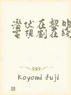 潜伏在黎明之前电视剧在线观看