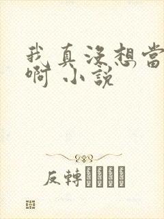 我真没想当皇帝啊 小说封面