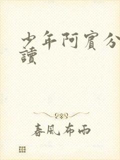 少年阿宾分节阅读