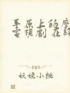 平原上的摩西 电视剧 在线观看