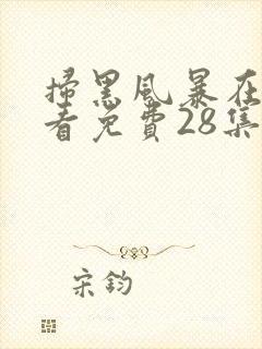 扫黑风暴在线观看免费28集