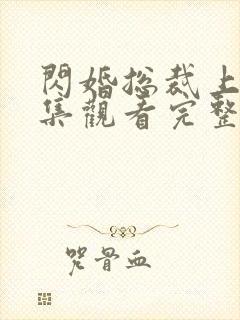 闪婚总裁上司全集观看完整版免费