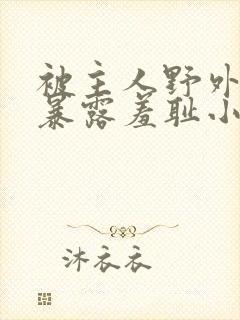 被主人野外调教暴露羞耻小说封面