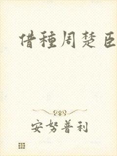 借种周楚臣封面