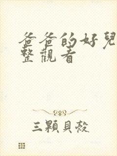 爸爸的好儿子完整观看