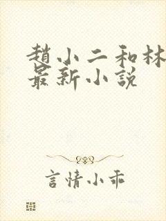 赵小二和林峰的最新小说