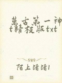 万古第一神txt精校版txt