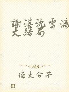 谢湛沈云漓姜闻大结局