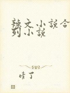 辣文小说合集系列小说