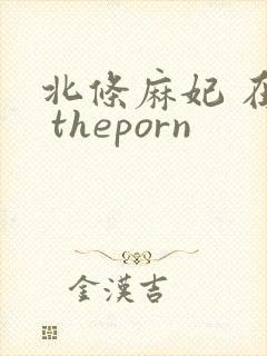 北条麻妃 在线 theporn