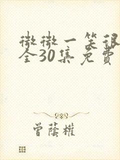 微微一笑很倾城全30集免费观看