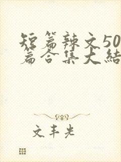 短篇辣文500篇合集大结局小说封面