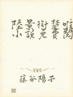 陆景衔楚唯宁的小说免费阅读最新章节封面