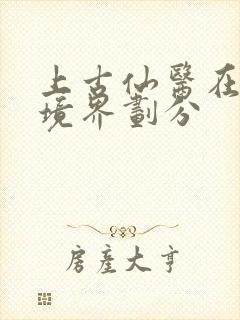 上古仙医在都市境界划分