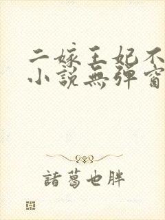 二嫁王妃不好惹小说无弹窗