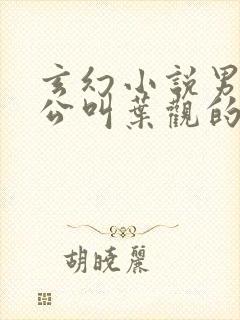 玄幻小说男主人公叫叶观的小说