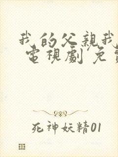 我的父亲我的兵 电视剧 免费观看