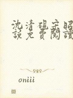 沈清砚宋昭汐小说免费阅读最新章节