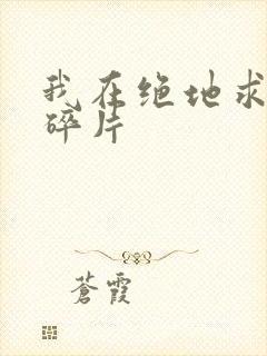 我在绝地求生捡碎片封面