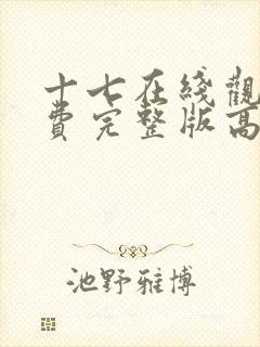 十七在线观看免费完整版高清电影封面