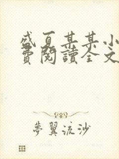 盛夏某某小说免费阅读全文封面