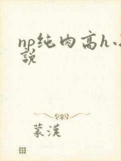 np纯肉高h小说
