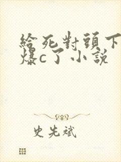 给死对头下药被爆c了小说