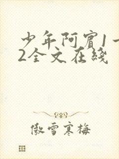 少年阿宾1一72全文在线