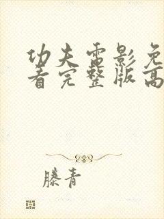 功夫电影免费观看完整版高清国语