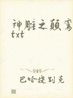 神雕之颠鸾倒凤txt