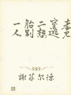 一胎二宝老婆大人别想逃免费阅读