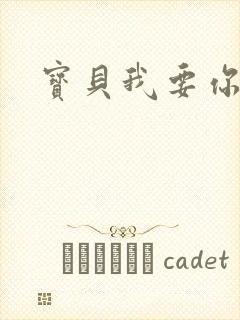 宝贝我要你封面