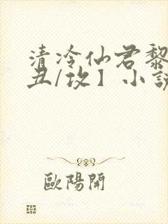 清冷仙君黎锦【丑/攻】小说