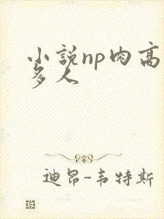小说np肉高h多人