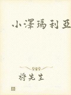 小泽玛利亚作品封面