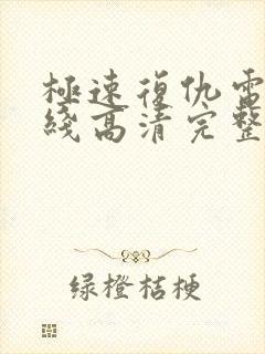 极速复仇电影在线高清完整播放