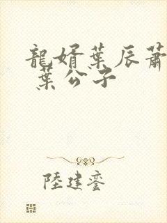 龙婿叶辰萧初然 叶公子封面