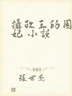 摄政王的团宠医妃 小说