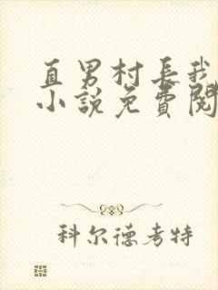 直男村长我掰弯小说免费阅读