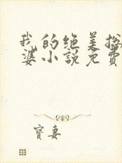 我的绝美总裁老婆小说免费