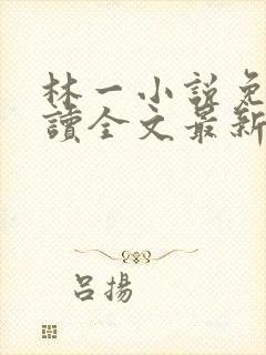 林一小说免费阅读全文最新章节